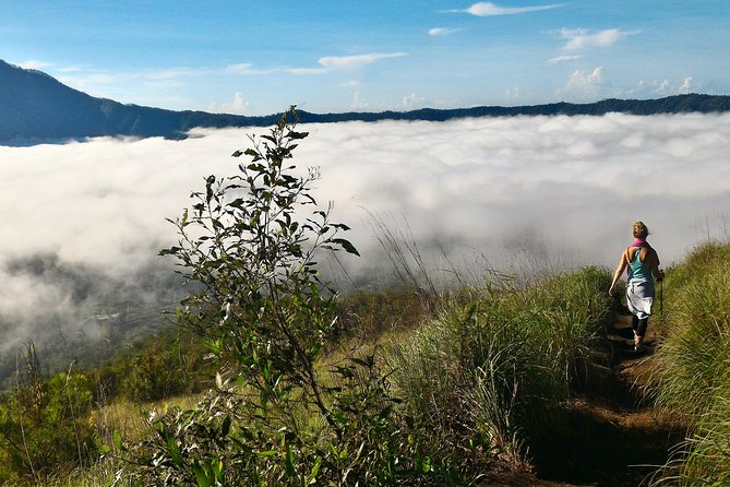 Mount Batur Sunrise Trekking Option - Coffee Plantation at Satria Agrowisata and the Luwak Choice