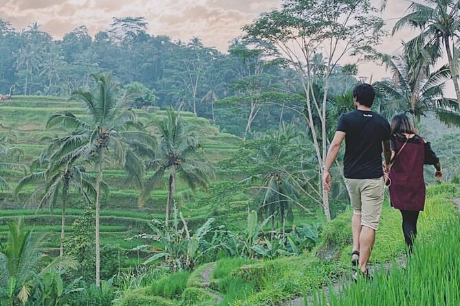 Mount Batur Sunrise Trekking Private Guide - After the Sunrise: Optional Add-Ons Around Kintamani and Tampak Siring