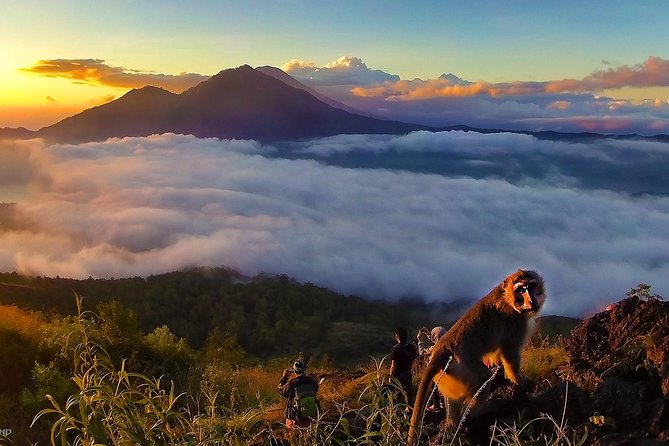 Mount Batur Sunrise Trekking With Breakfas - Who This Sunrise Trek Fits Best (and Who Should Rethink It)