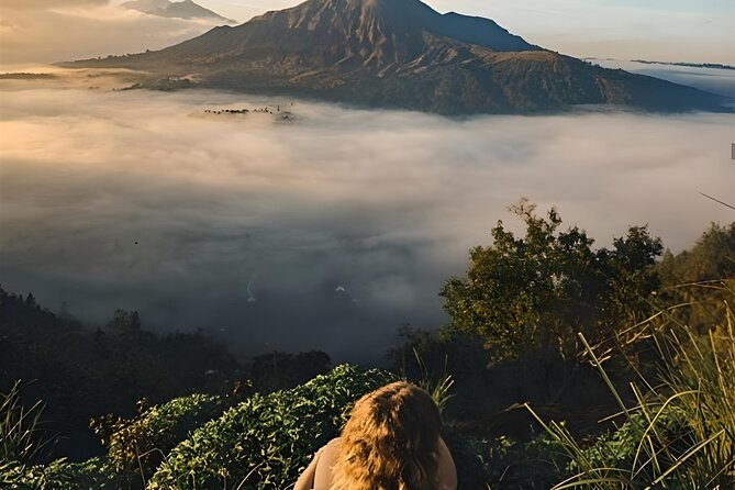 Mount Batur Sunrise Trekking with Natural Hot Spring - Balinese coffee plantation stop around 11:30 AM