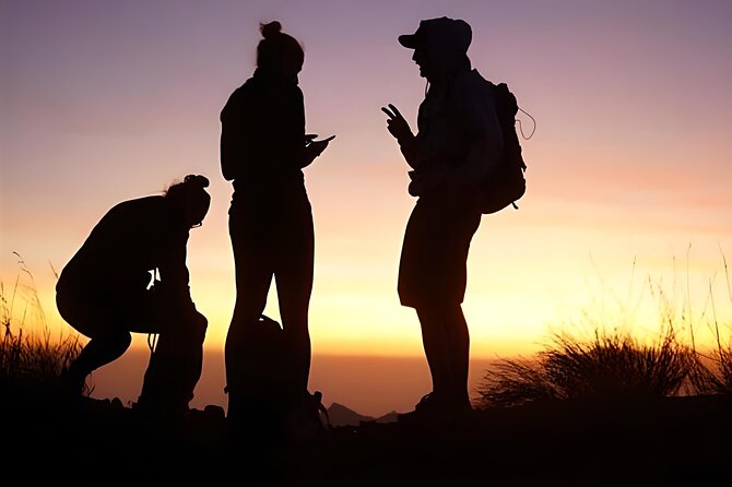 Mount Batur Sunrise Trekking with Natural Hot Springs - Coffee Plantation Stop at 11:30 AM: A Slower Second Half