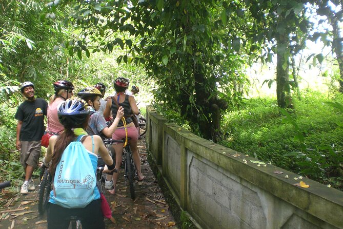 Mountain Cycling Tour - The Ride Itself: Rice Fields, Villages, And A Relaxed Pace