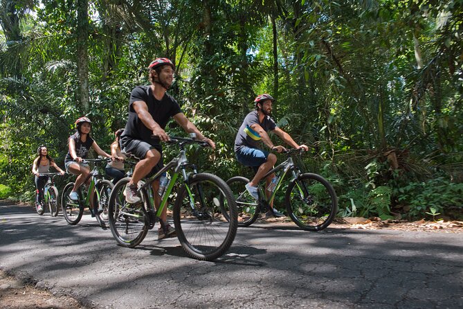 Mountain Cycling Tour - Lunch After the Ride: Gourmet Food, Plus Vegetarian Option