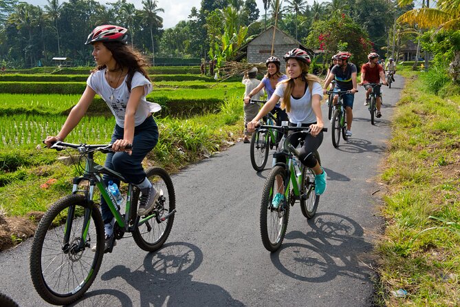 Mountain Cycling Tour - Safety Briefing And Bike Setup: Where First-Timers Get Confidence