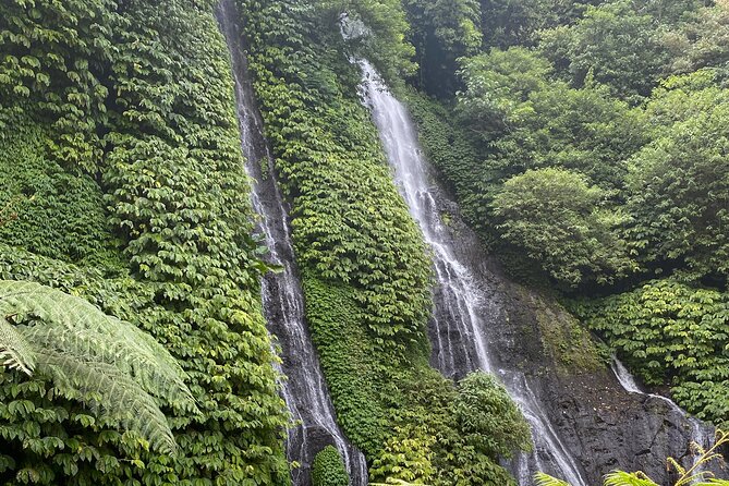 Munduk:authentic local Home cooking class - Should You Book This Munduk Cooking + Waterfall Day?