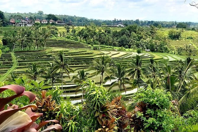 Munduk Highlights: Stunning North Bali Waterfalls & Temple - Who This Tour Suits Best (and Who Should Rethink It)
