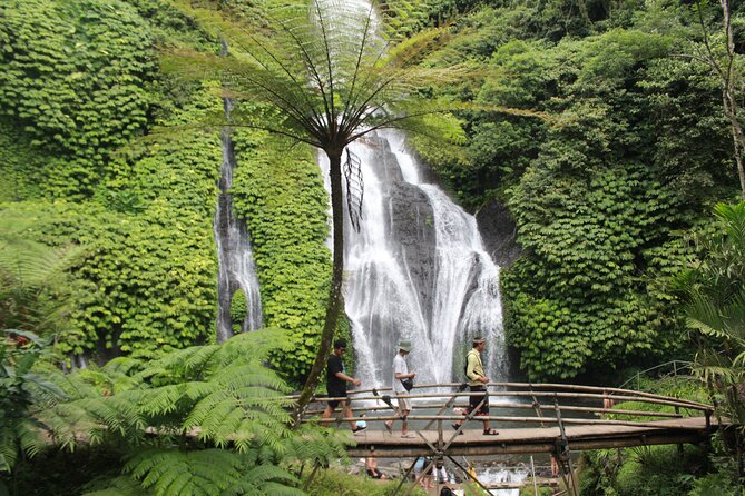 Munduk Private Customized Highlights Tour - Jatiluwih Green Land: rice terraces that actually feel worth the trip
