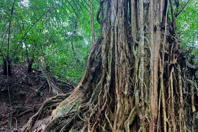 Munduk: Tamblingan jungle trek, waterfall, Ulun Danu temple - Ulun Danu Beratan Temple: One of Bali’s Most Iconic Water Temples