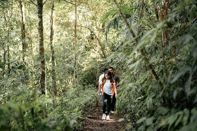 Munduk Twin Lake Jungle Hike, Ulun Danu Temple, & Waterfall - The jungle trek to Tamblingan Lake: birds, trees, and real walking
