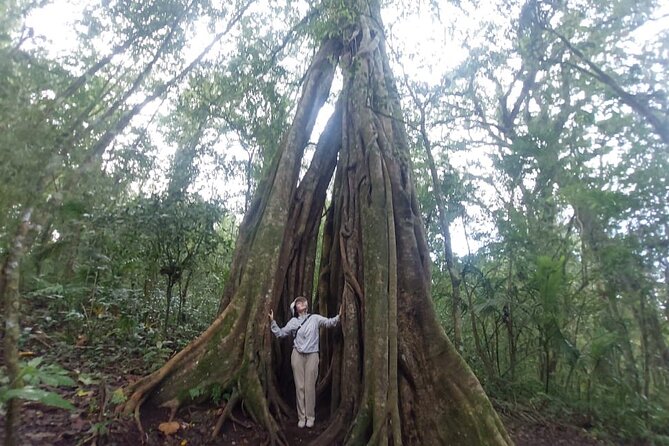 Munduk Twin Lake Jungle Trek with Sacred Forest Temples&Canoeing - What to wear, bring, and watch for in the rainforest