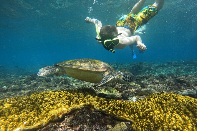 No:#1. Penida Island Tour And Snorkeling With Manta - Included snorkeling gear, Indonesian lunch, and photo support
