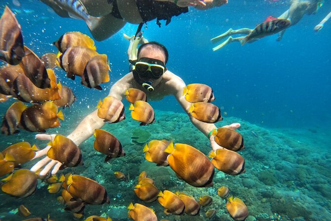 No:#1. Penida Island Tour And Snorkeling With Manta - Who should book this manta snorkel tour?