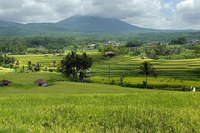 North Bali Nature Escape Rice Terraces, Temples & Waterfall - Taman Ayun Temple: A Royal Temple Start With Gardens and Lotus Ponds