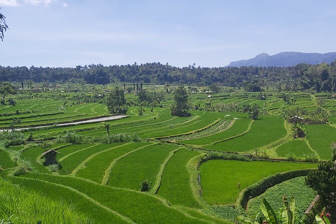 North Bali Private Tour - All Inclusive - Price and value in plain terms