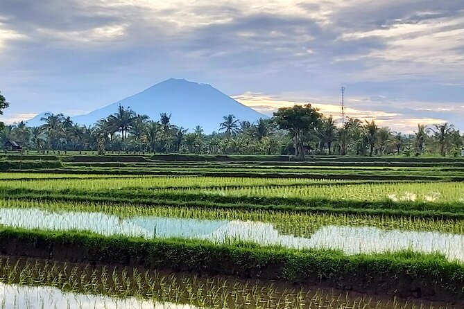 North Bali Private Tour - All Inclusive - Stop 2: Handara Iconic Gate for mountain-and-gate photos