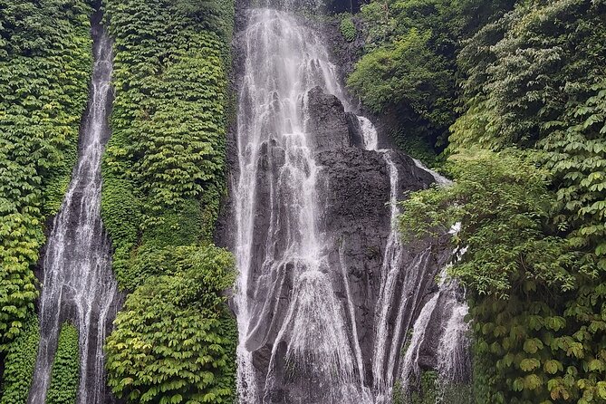 North Bali Private Tour - All Inclusive - Stop 5: Jatiluwih Rice Terraces and the UNESCO-famous highland air