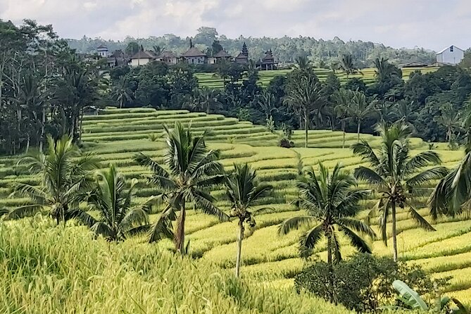 North Bali Private Tour - All Inclusive - Guides, photos, and that extra attention that makes the day feel easy