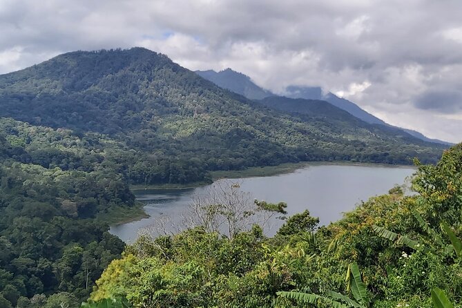 North Bali Private Tour - All Inclusive - The day’s rhythm: driving, timing, and why early starts matter