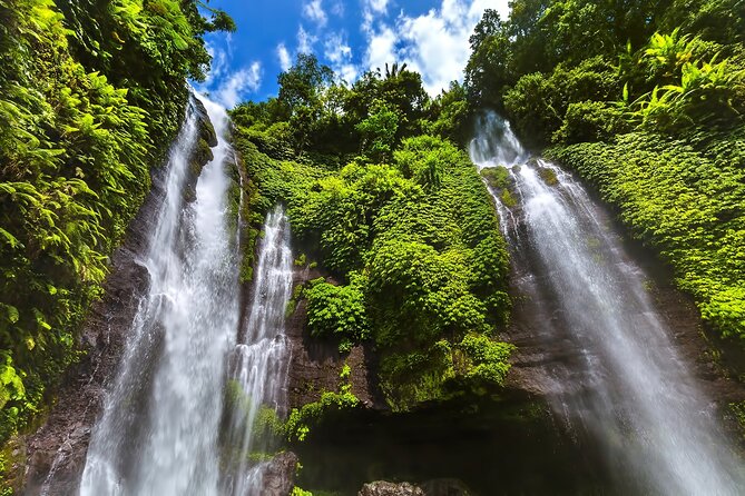 North Bali Tour: Banyumala Waterfall & Wanagiri Hidden Hills - Price and tickets: why $80 makes sense (and when it doesn’t)