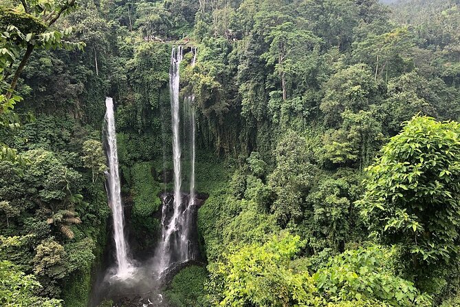 North Bali Tour: Banyumala Waterfall & Wanagiri Hidden Hills - Wanagiri Hidden Hills and the Bali swing: views, timing, and crowds