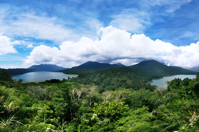 North Bali Tour - Visiting Rice Terrace, Lake, Waterfall, Temple and Hot Spring - Price and What’s Included in the $80 Private Day