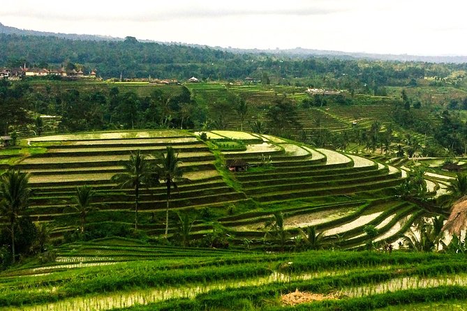 Nungnung Waterfall,Jatiluwih Heritage UNESCO and Bedugul Tour - Bedugul’s Lake Beratan and Ulan Danu Temple: A Lake Temple Setting