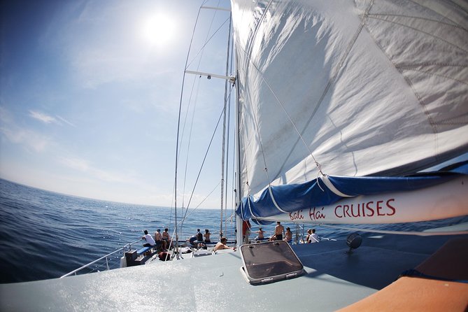 Nusa Lembongan: Island Discovery Cruise - Crystal Bay Snorkeling: Gear Included, Plus Safety Built In