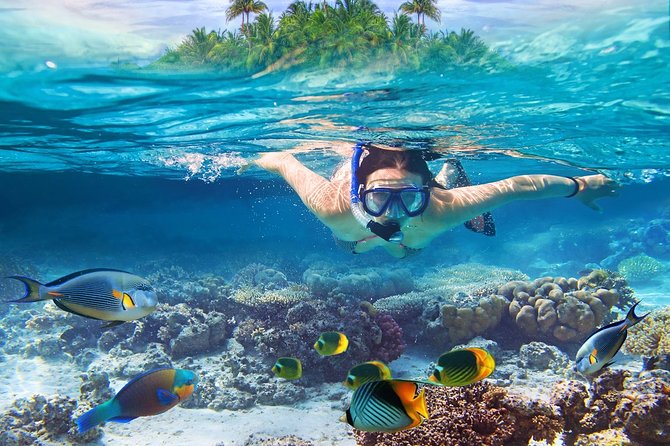 Nusa Lembongan Island: Snorkeling & Mangrove Forest Day Tour - Key points at a glance