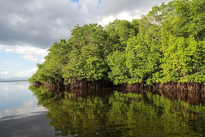 Nusa Lembongan Island: Snorkeling & Mangrove Forest Day Tour - Entering Nusa Lembongan via Speedboat: the Smooth Start
