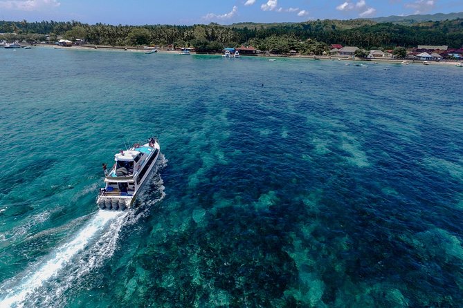 Nusa Lembongan Island: Snorkeling & Mangrove Forest Day Tour - Price and Value: Thinking Like a Smart Buyer at $143