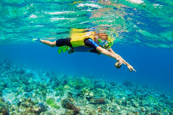 Nusa Lembongan Island: Snorkeling & Mangrove Forest Day Tour - Snorkeling on the Coral Reef: Why This Stop Is the Main Event