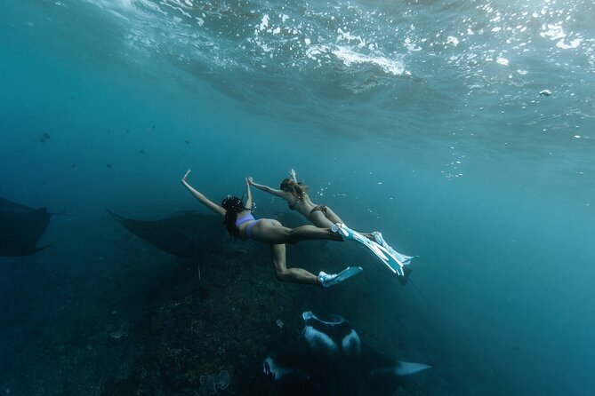 ️Nusa Penida by Private Boat - Snorkeling 4 spots, Swim with Mantas + Land Tour - Key highlights worth knowing