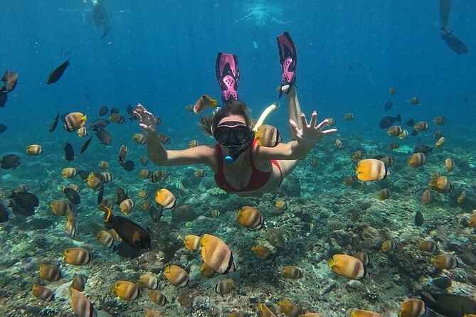 ️Nusa Penida by Private Boat - Snorkeling 4 spots, Swim with Mantas + Land Tour - Speedboat crossing: comfortable, but respect the sea