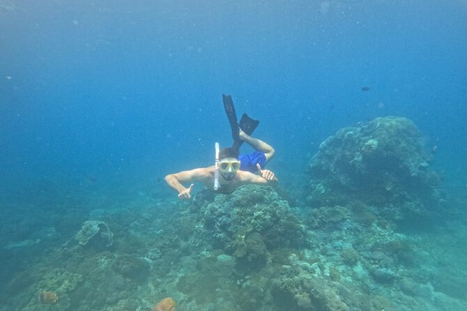 Nusa-Penida customize Tour - All inclusive - Crystal Bay: the best scenery, plus the snorkeling question