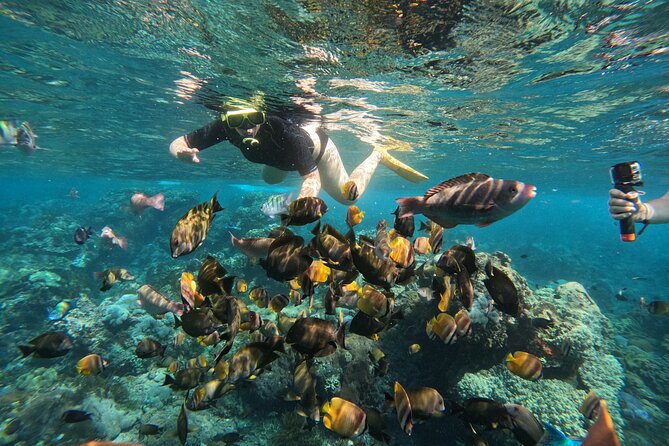 Nusa-Penida customize Tour - All inclusive - Private driver, but timing is still fixed