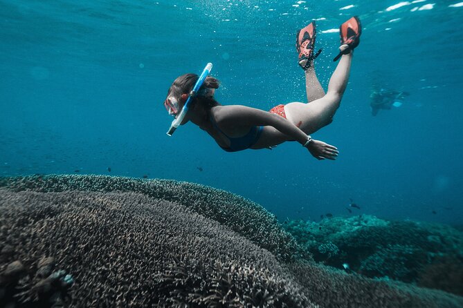 Nusa Penida day trip: boat, 4 snorkeling, Manta rays & Land tour - Sanur meeting point and the 7:45am speed-boat plan