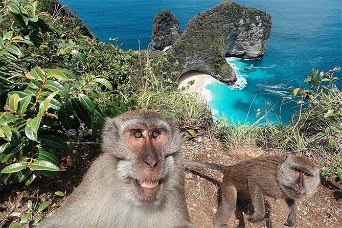 Nusa Penida day trip: boat, 4 snorkeling, Manta rays & Land tour - Lunch on Nusa Penida plus a breather before the second half