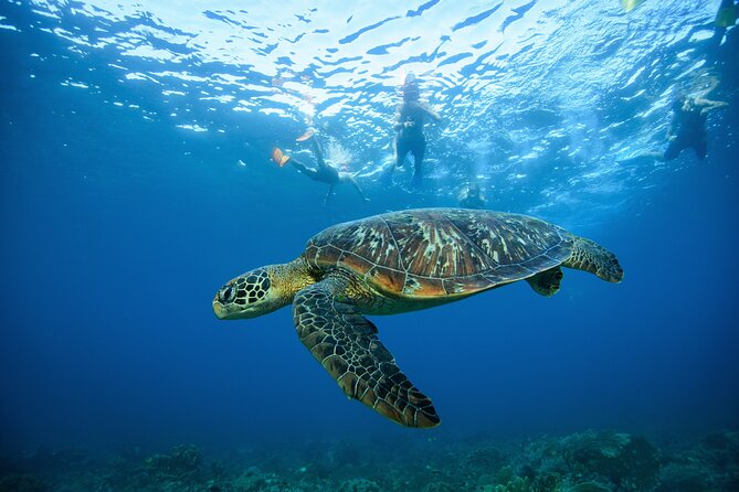 Nusa Penida day trip: boat, 4 snorkeling, Manta rays & Land tour - Wall Bay and Manta Point: when the day turns into manta time