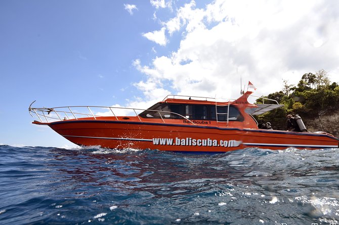 Nusa Penida Day Trip for 3 dives - Three underwater sessions: what makes the itinerary feel worth it