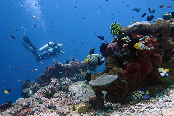 Nusa Penida Day Trip for 3 dives - What’s included vs. what costs extra (and why it matters)