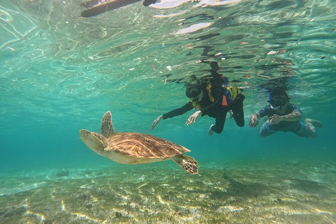 Nusa Penida & Gili Trawangan 3Days 2Night (Snorkeling) - Gili Trawangan sunset: the one-hour nature reset