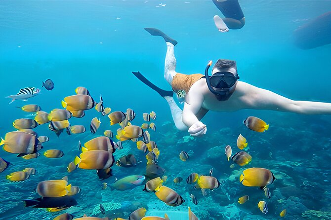 Nusa Penida Island Beach Tour With Snorkeling - Departure From Bali Island - Kelingking Beach: the viewpoint is the reward, but low tide matters