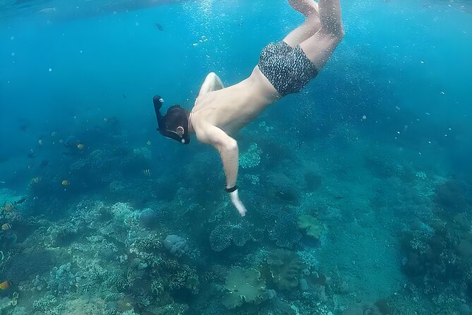 Nusa Penida Island Beach Tour With Snorkeling - Departure From Bali Island - Lunch on Penida: included set menu means less searching, more flow