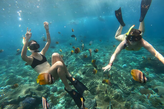 Nusa Penida Island Beach Tours with Snorkeling From Bali - The Whole Day Rhythm: Stops, Timing, and What to Expect