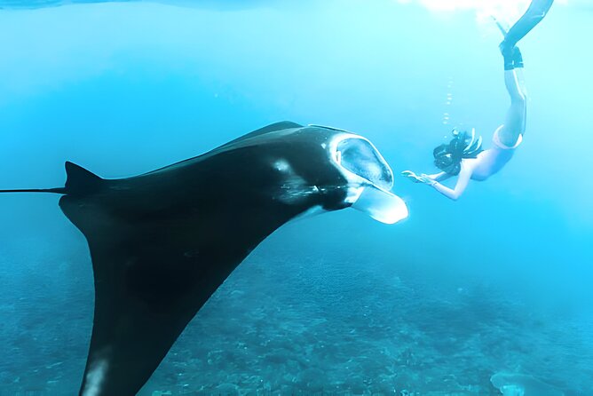 Nusa Penida Island Beach Tours with Snorkeling From Bali - Gamat Bay and Crystal Bay: Quiet Snorkeling With Clean Sand