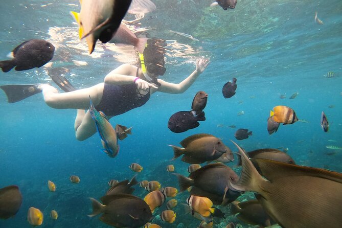 Nusa Penida Land Tour and 4 Points Snorkeling with Manta - Price Check: Is $58 a Good Value for This Combo?