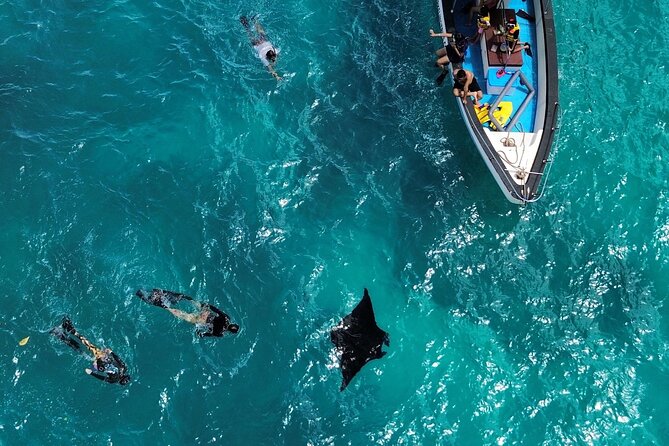 Nusa Penida Private Snorkeling and West Tour Start from Bali - Key highlights worth knowing