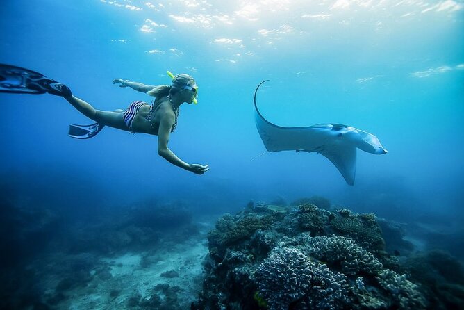 Nusa Penida Private Snorkeling and West Tour Start from Bali - The Sanur fast boat ride: fast route, real water time