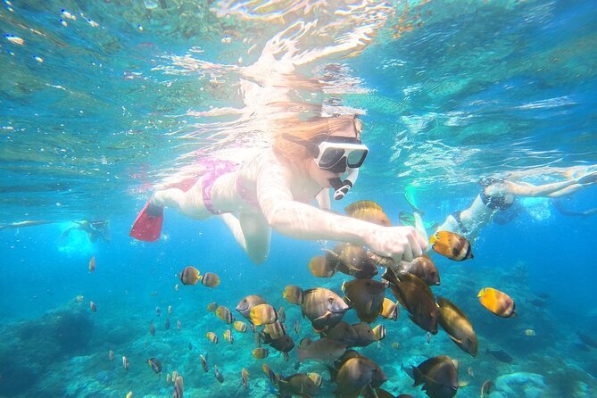 Nusa Penida Private Snorkeling and West Tour Start from Bali - Stop 1: Manta Bay, Crystal Bay, and Gamat Bay snorkeling