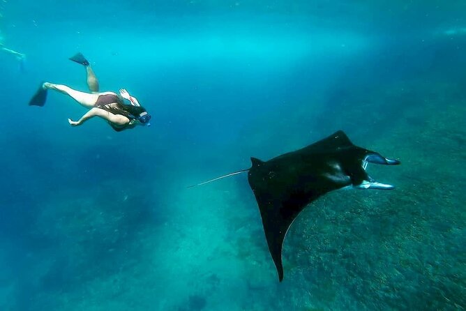 Nusa Penida Snorkeling 3 Point with Manta Bay & Land Tour - The Sanur-to-Penida fast boat: when comfort matters